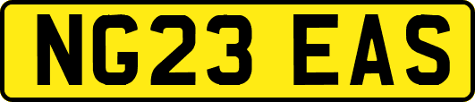 NG23EAS