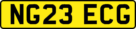 NG23ECG
