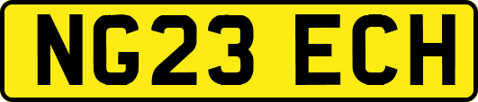 NG23ECH