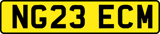 NG23ECM