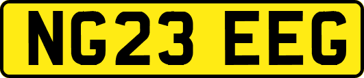 NG23EEG