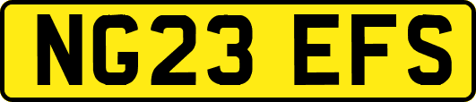 NG23EFS
