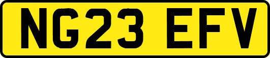 NG23EFV