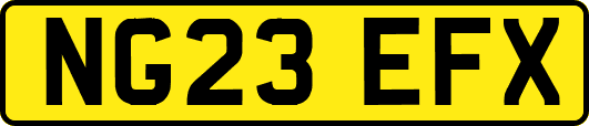 NG23EFX
