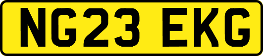 NG23EKG