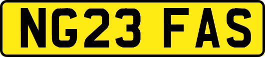 NG23FAS