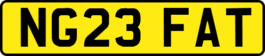 NG23FAT