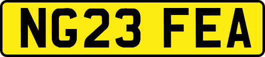 NG23FEA