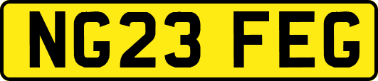 NG23FEG