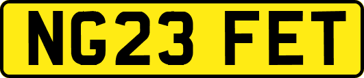 NG23FET