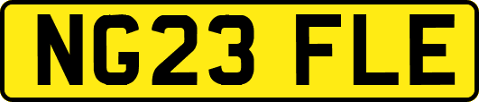 NG23FLE