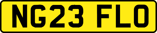 NG23FLO