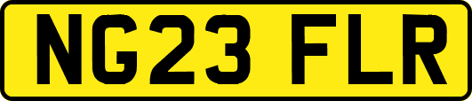 NG23FLR