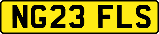 NG23FLS