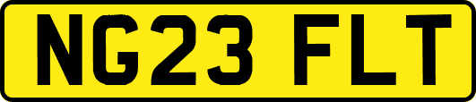 NG23FLT