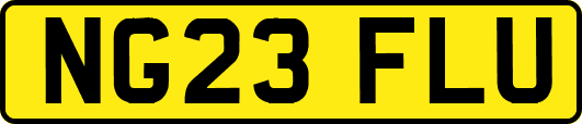 NG23FLU