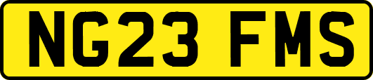 NG23FMS