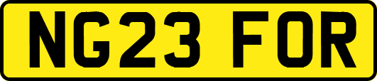 NG23FOR