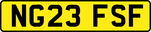 NG23FSF