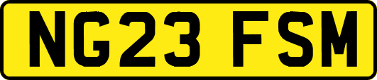 NG23FSM