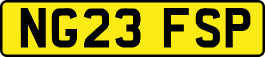 NG23FSP