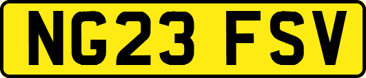 NG23FSV