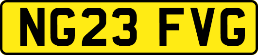NG23FVG