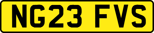 NG23FVS