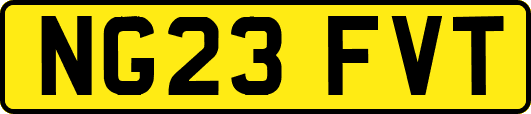 NG23FVT