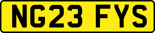 NG23FYS