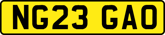 NG23GAO