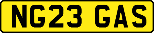 NG23GAS