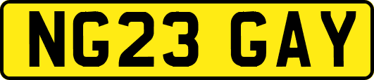 NG23GAY