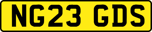 NG23GDS