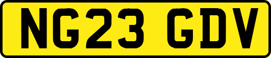 NG23GDV