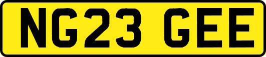NG23GEE