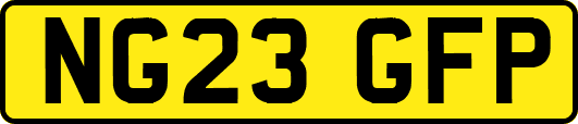NG23GFP