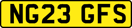 NG23GFS