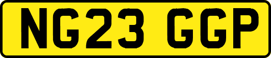 NG23GGP