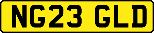NG23GLD