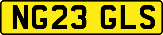 NG23GLS