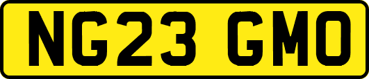 NG23GMO