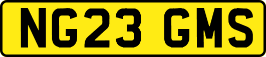 NG23GMS