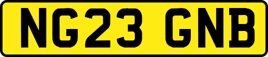 NG23GNB