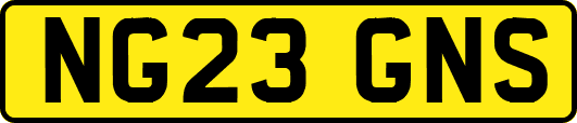 NG23GNS
