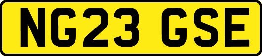 NG23GSE