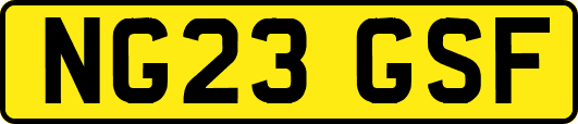 NG23GSF