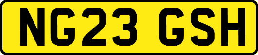 NG23GSH