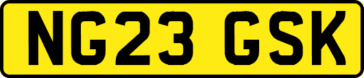 NG23GSK