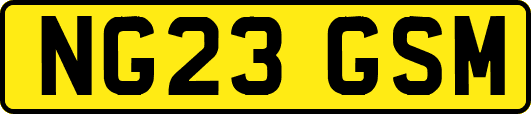NG23GSM